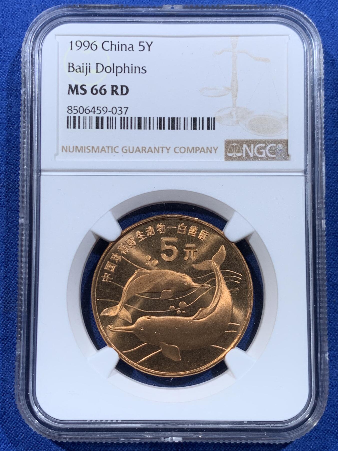 《竞宝斋》第449场 周日，周一，周二  3场连拍 （全场包邮，欢迎送拍）