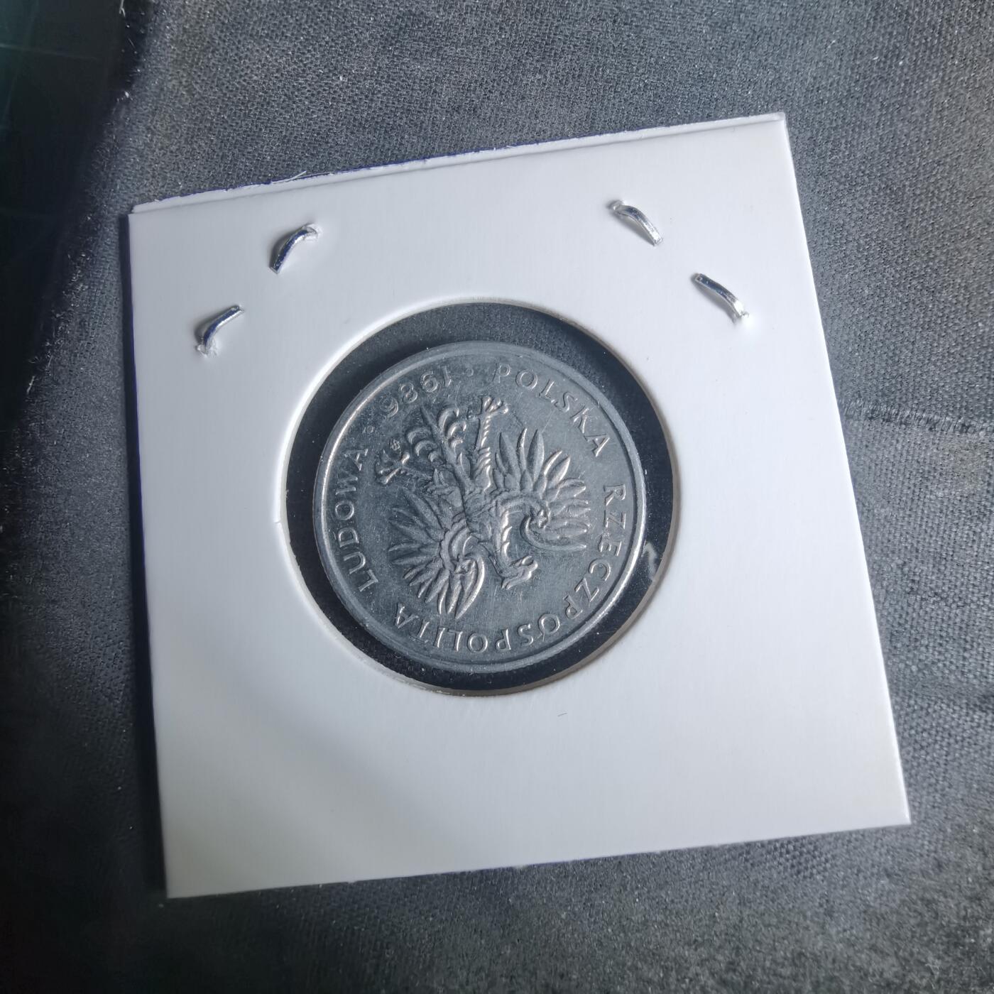 沼泽如烟--第940场