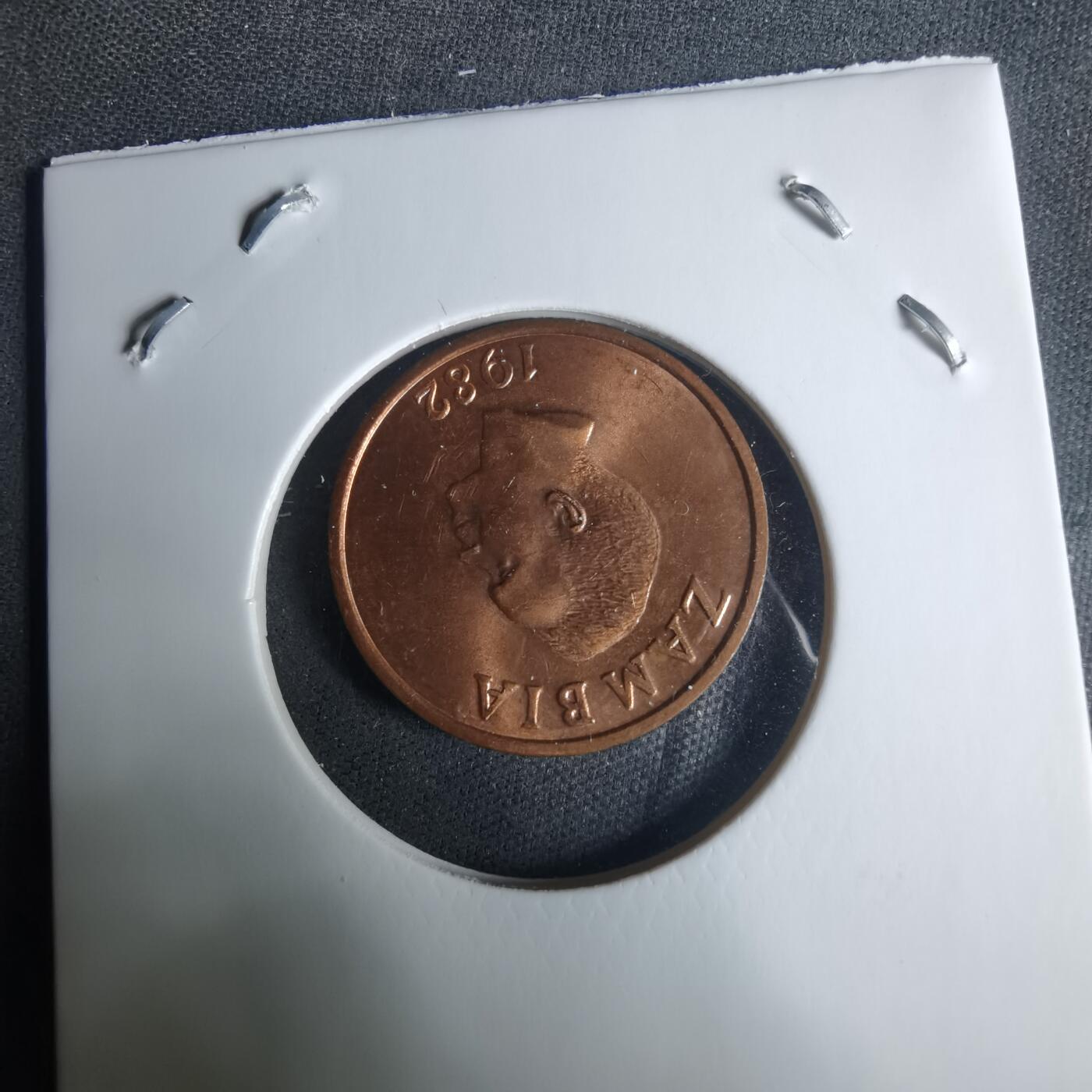 沼泽如烟--第940场