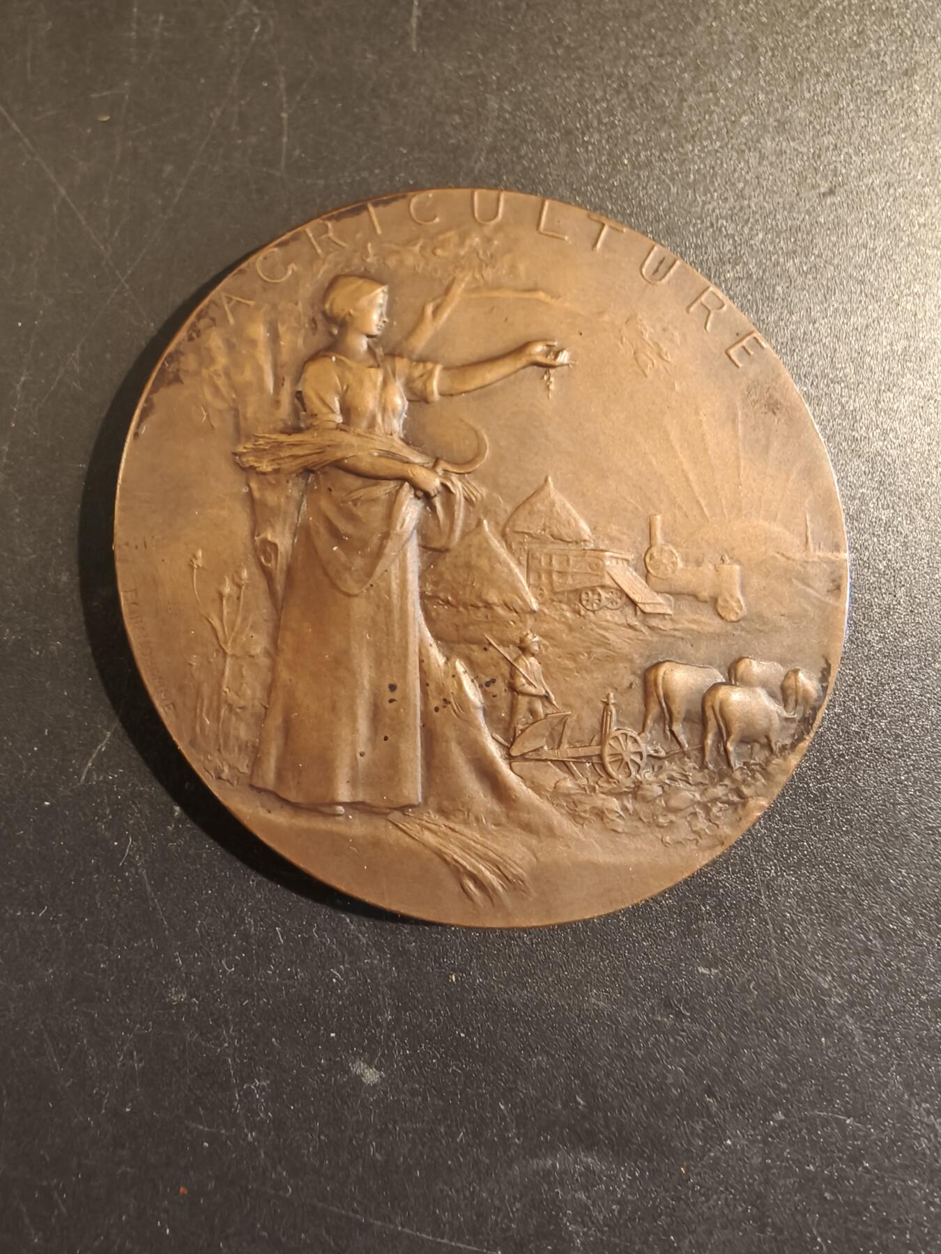 老王徽章第171期 法国萨瓦省圣朱利安昂热讷农业协会大铜章     原盒       大师P.Grandhomme作品     直径50mm     重量47.5g