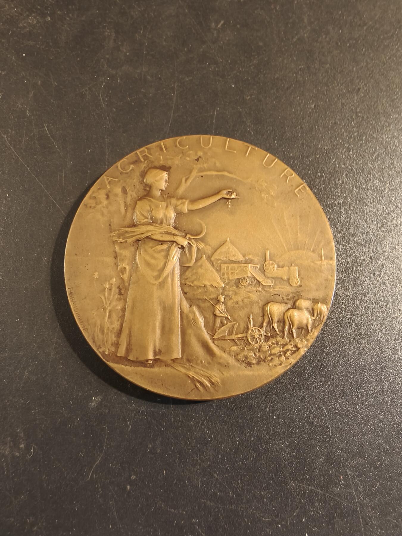 老王徽章第171期 法国萨瓦省圣朱利安昂热讷农业协会大铜章     原盒       大师P.Grandhomme作品     直径50mm     重量55.1g