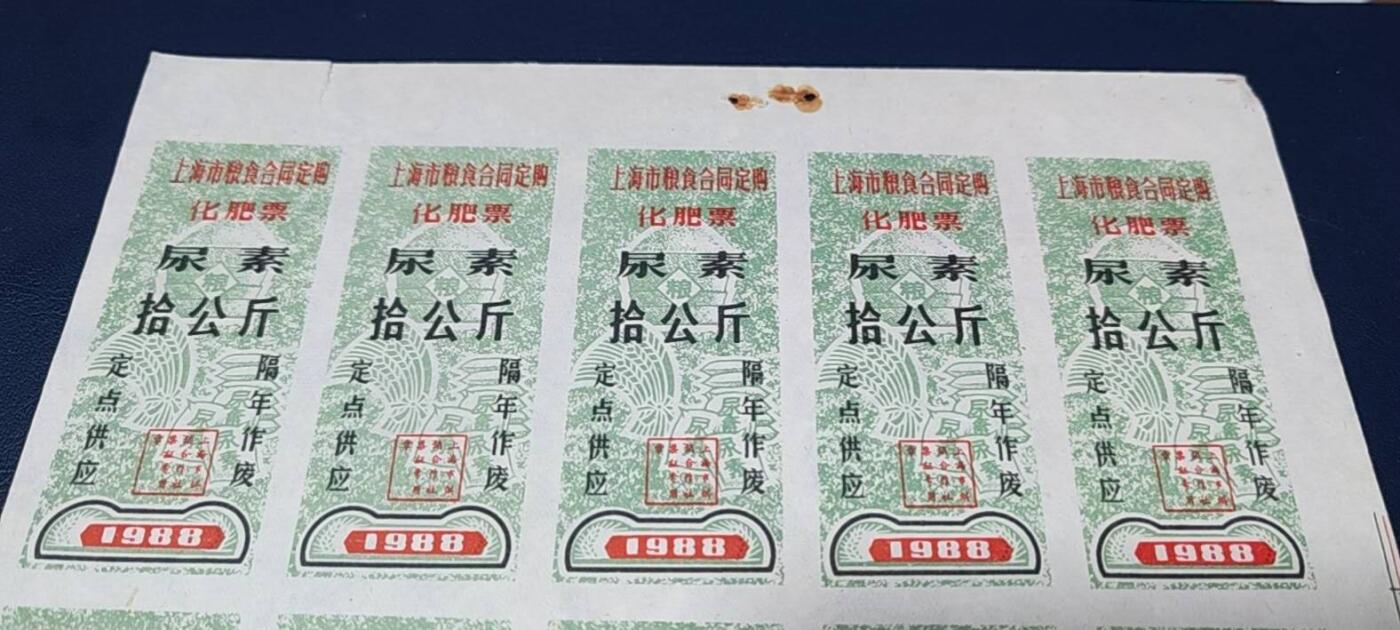 票证拍场，都是整版或者联票