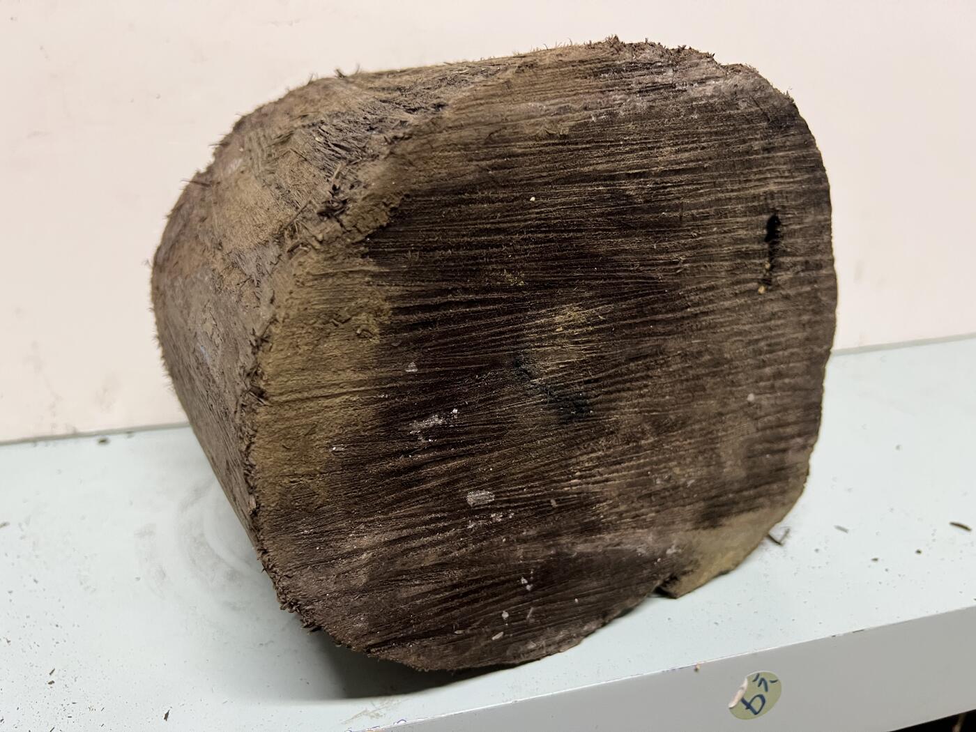 零元拍：金丝楠墩子老料 做凳子 做茶台  车珠子 都可以满肉满金丝 果香满满 尺寸：21/19/17CM。