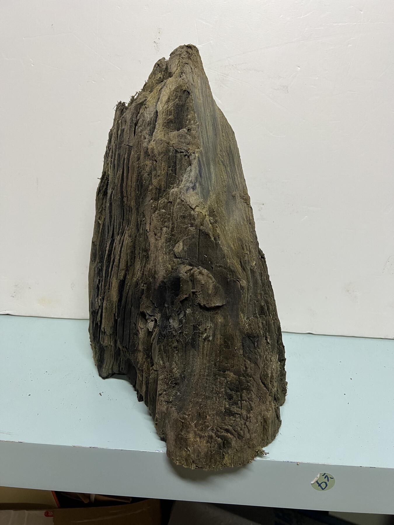 零元拍：金丝楠墩子老料 山峰 情景随型 满肉满金丝 果香满满 尺寸：32/25/15CM。