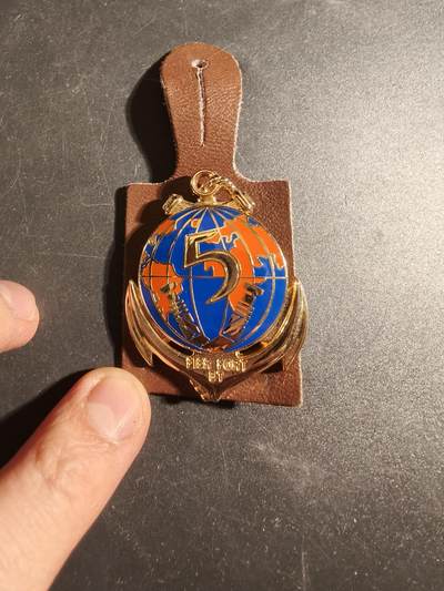 老王徽章第171期 - 法国陆军第五海外联合兵种团证章