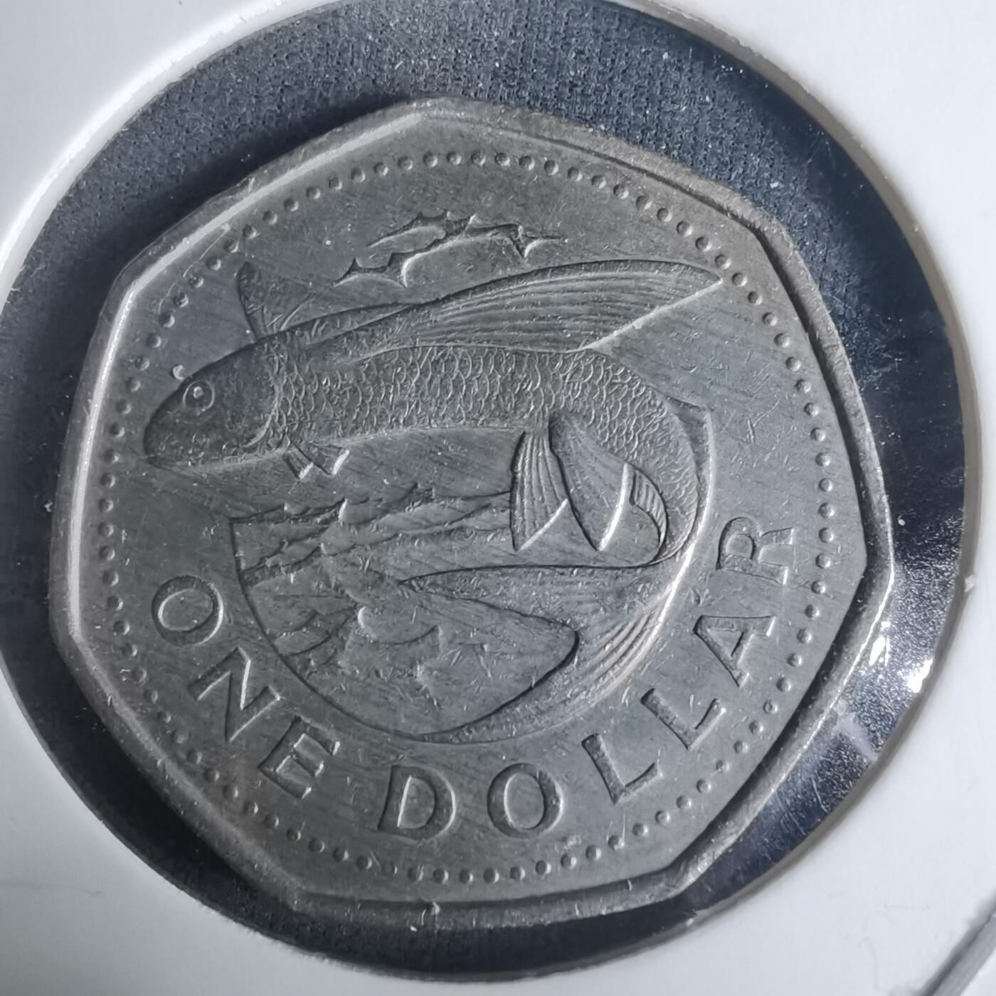 沼泽如烟--第940场