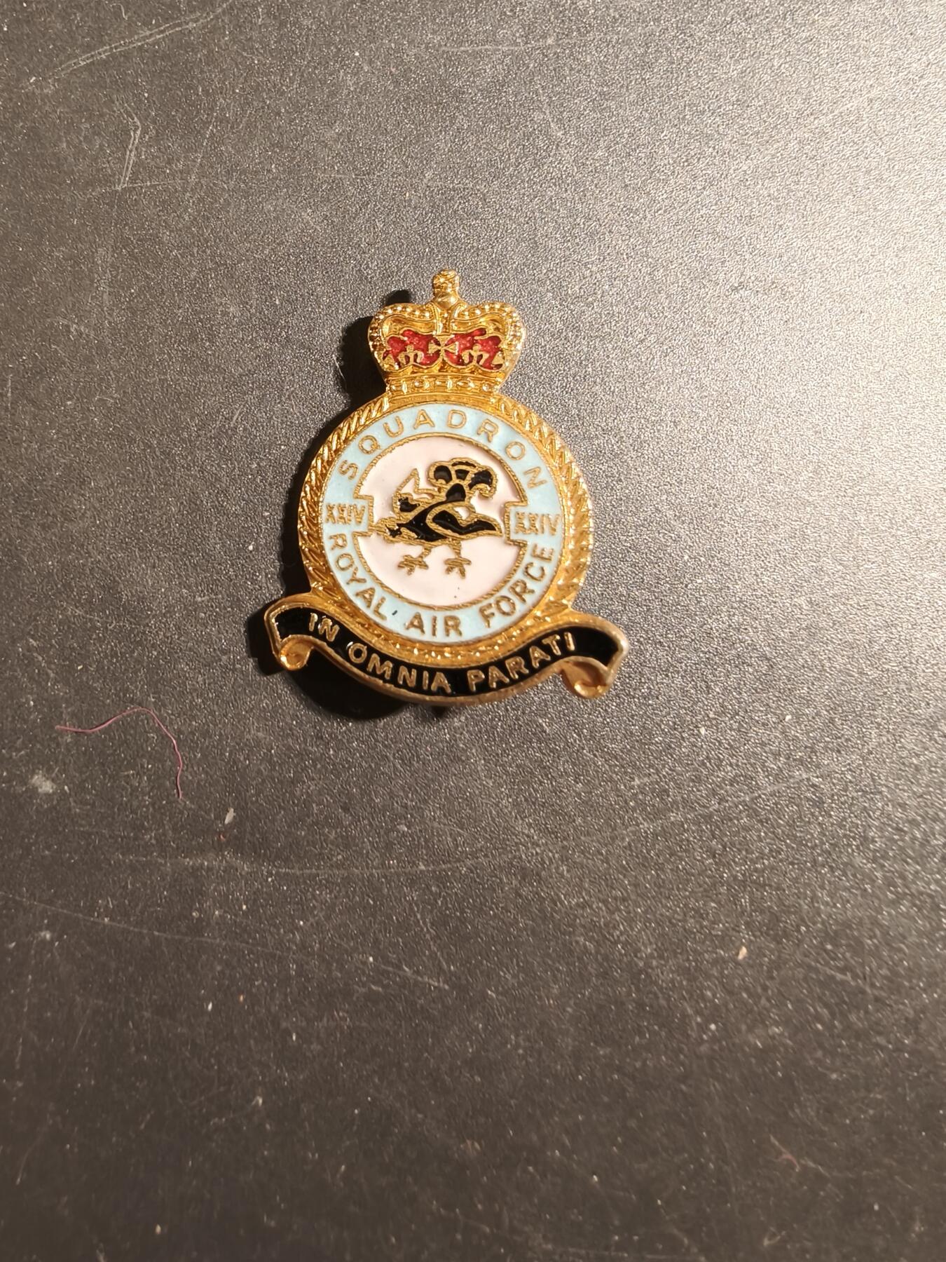 老王徽章第171期 英国皇家空军第14中队证章