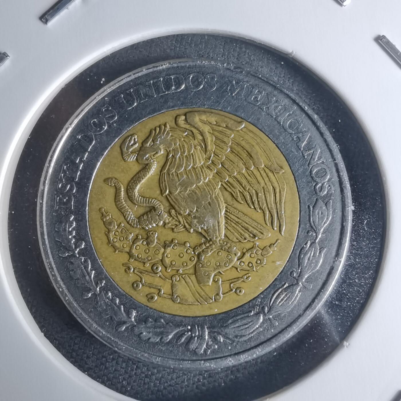 沼泽如烟--第942场