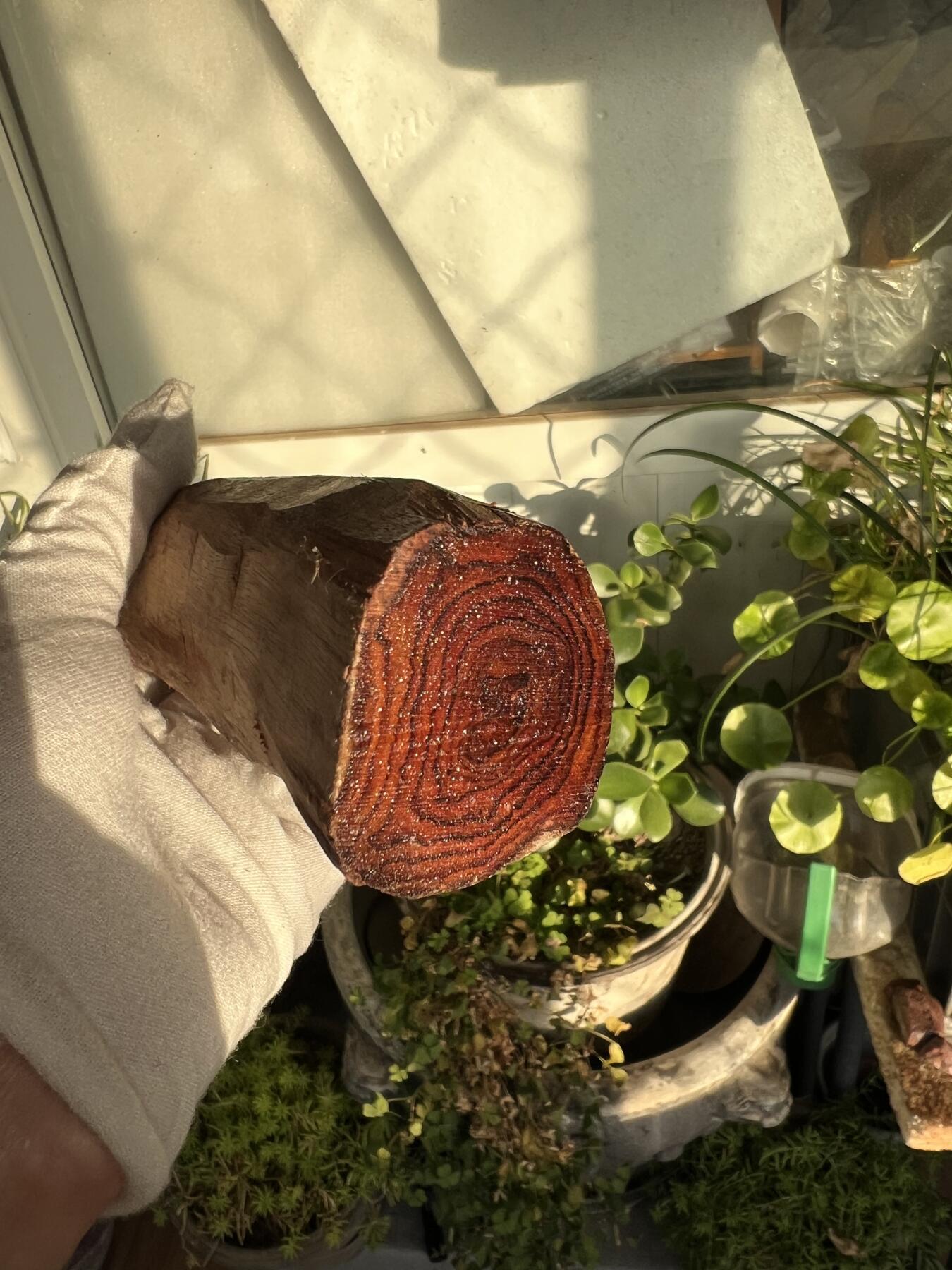 零元拍：  海南黄花梨原料。180/40/35MM