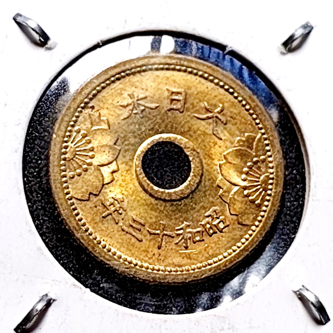 泉币菌-第152场-精品福利场 。