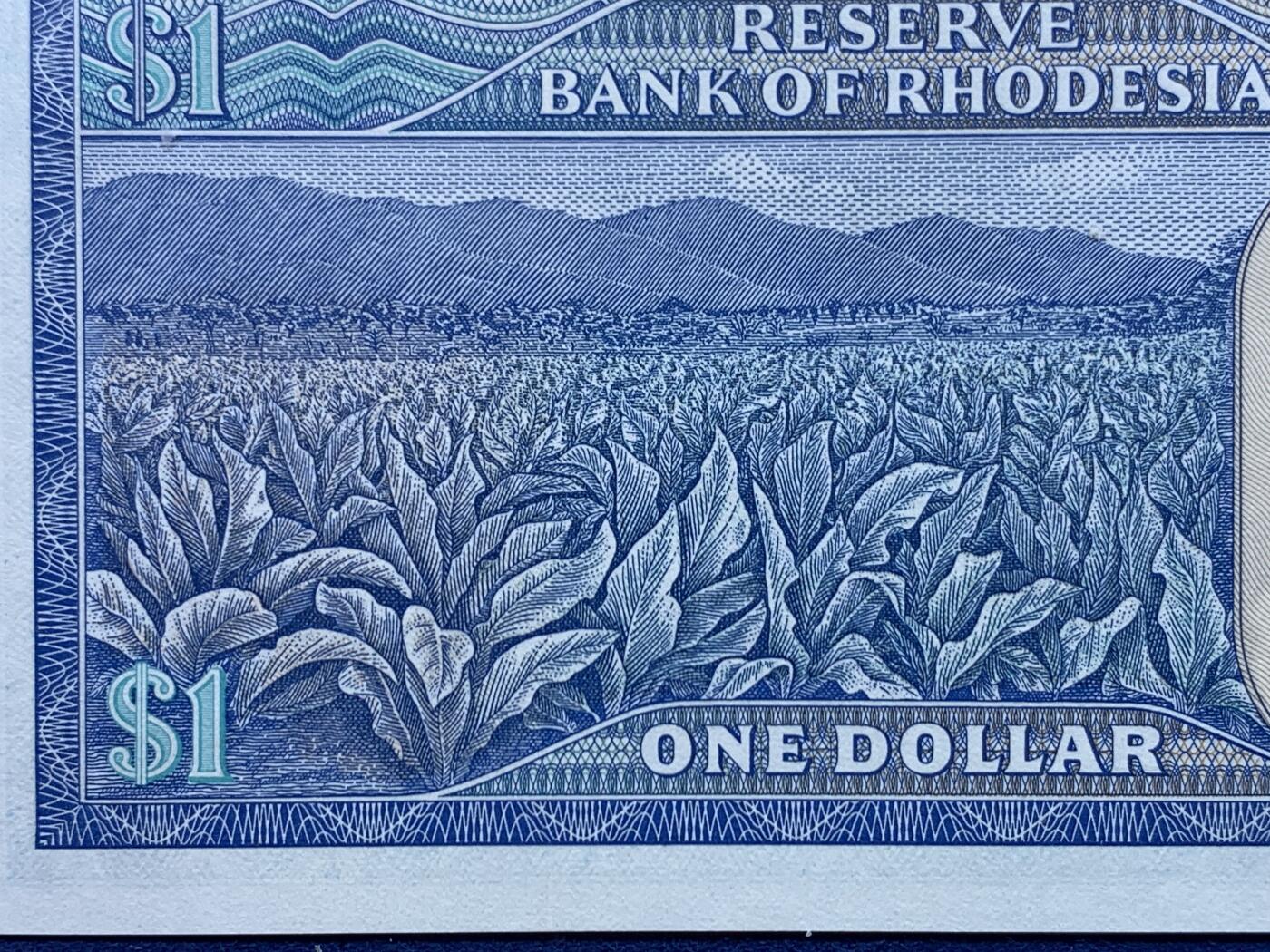 《竞宝斋》第450场 周日，周一，周二  3场连拍 （全场包邮，欢迎送拍）