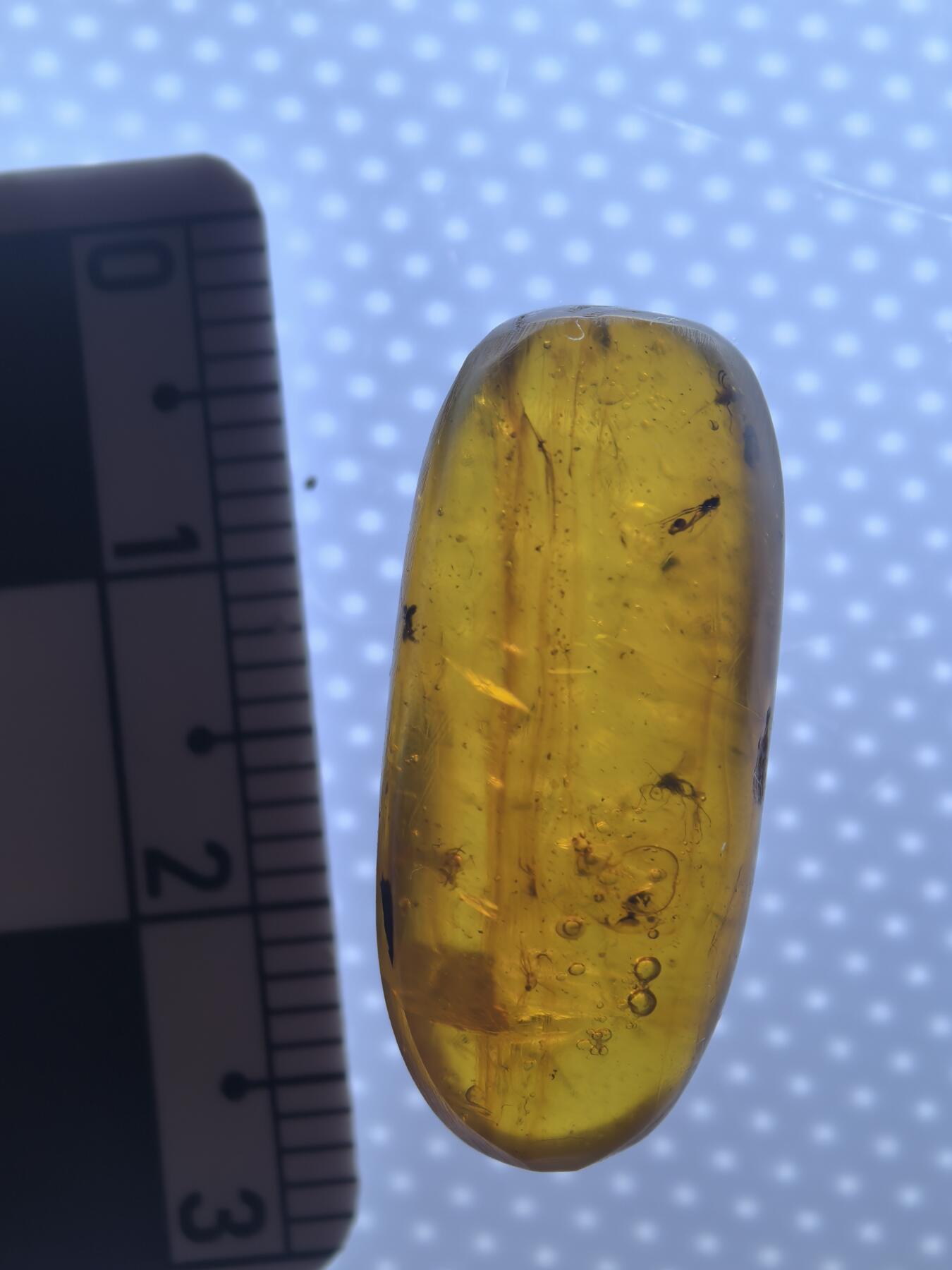 缅甸虫珀 化石专场 小虫水胆