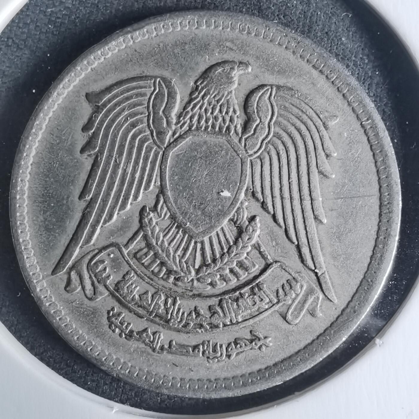 沼泽如烟--第942场