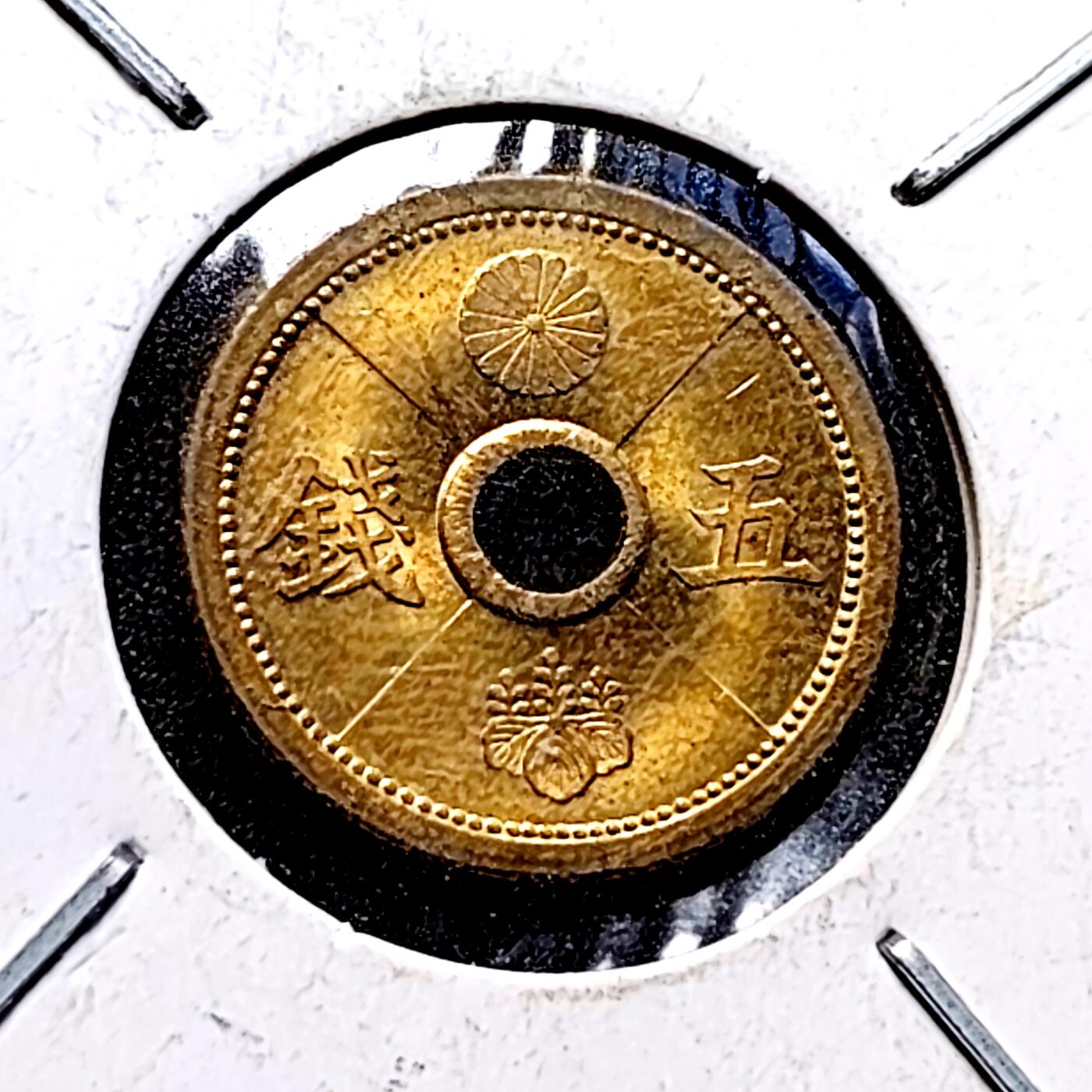 泉币菌-第152场-精品福利场 。