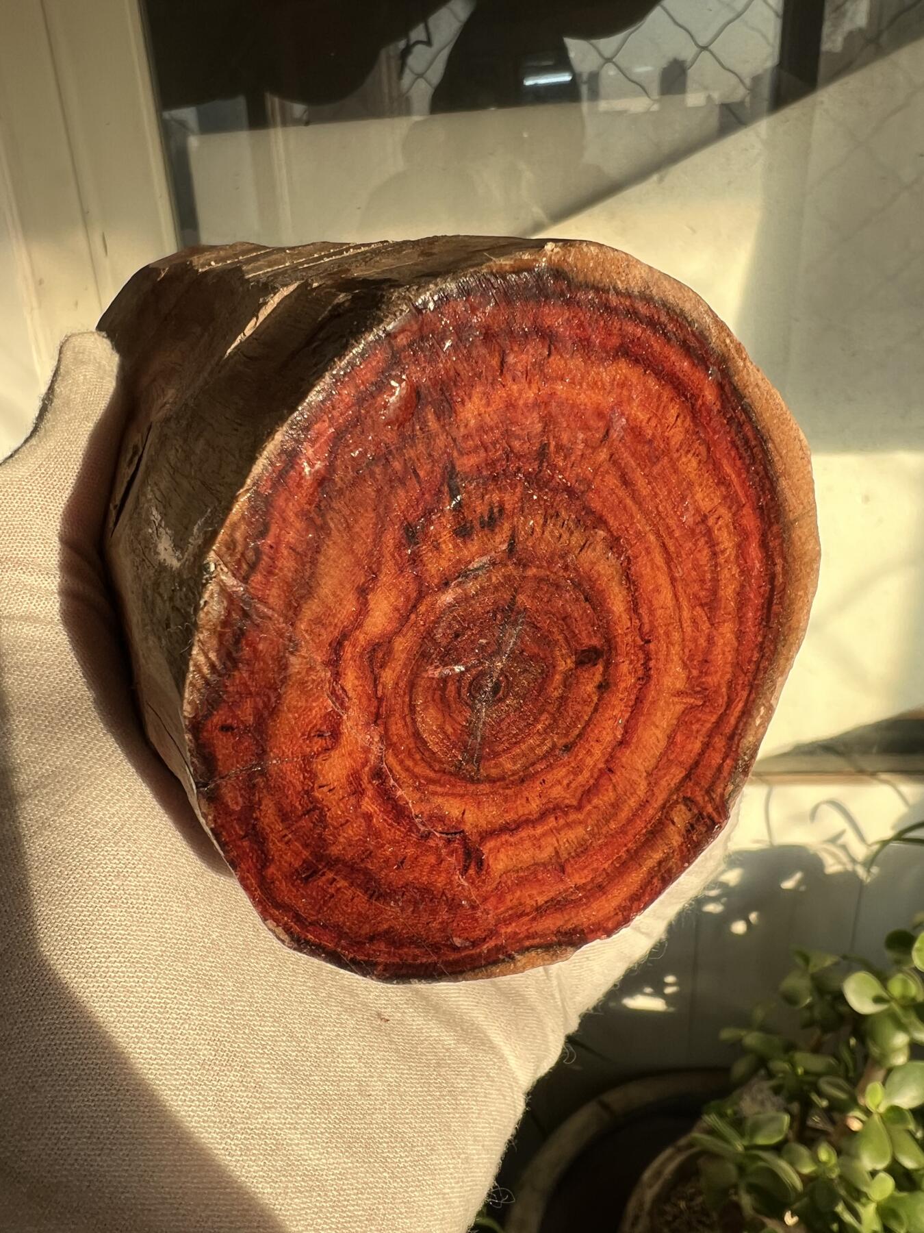 零元拍：  海南黄花梨原料。130/90/80MM