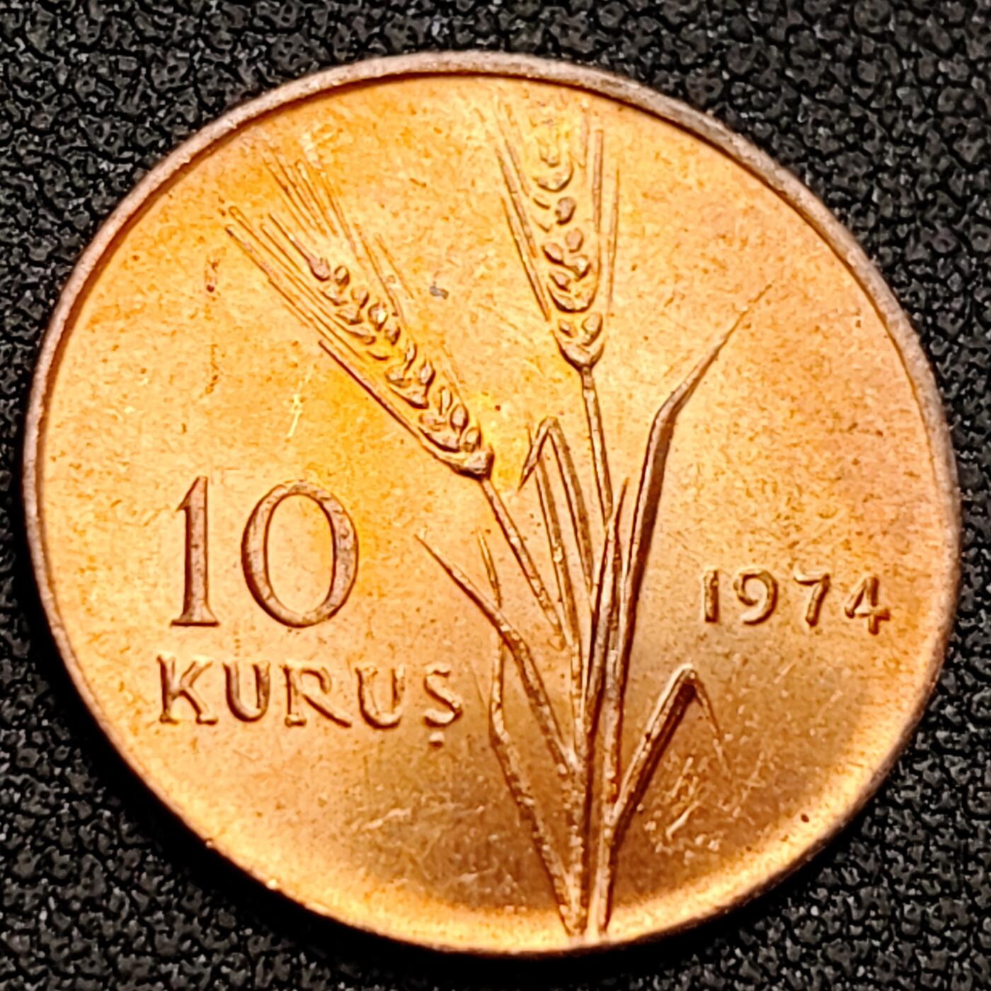 泉币菌-第152场-精品福利场  