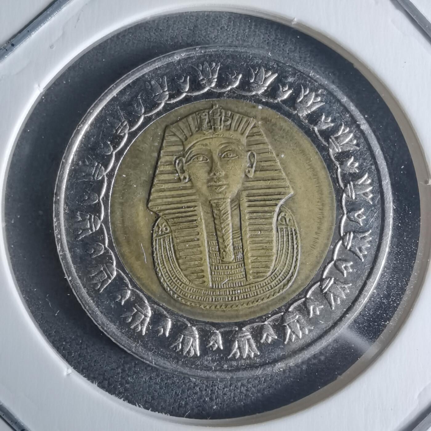 沼泽如烟--第942场