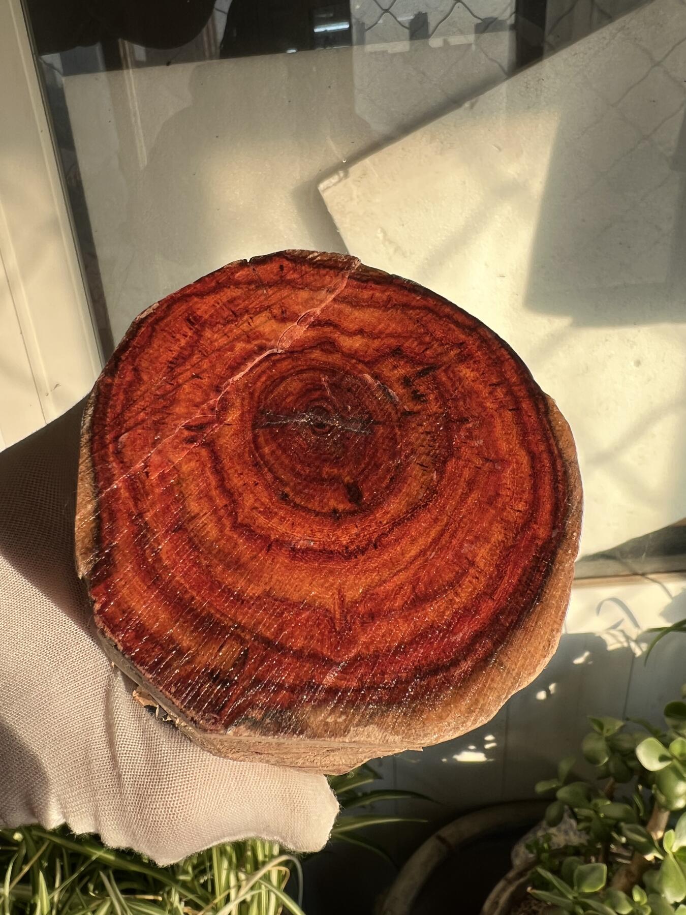 零元拍：  海南黄花梨原料。130/90/80MM