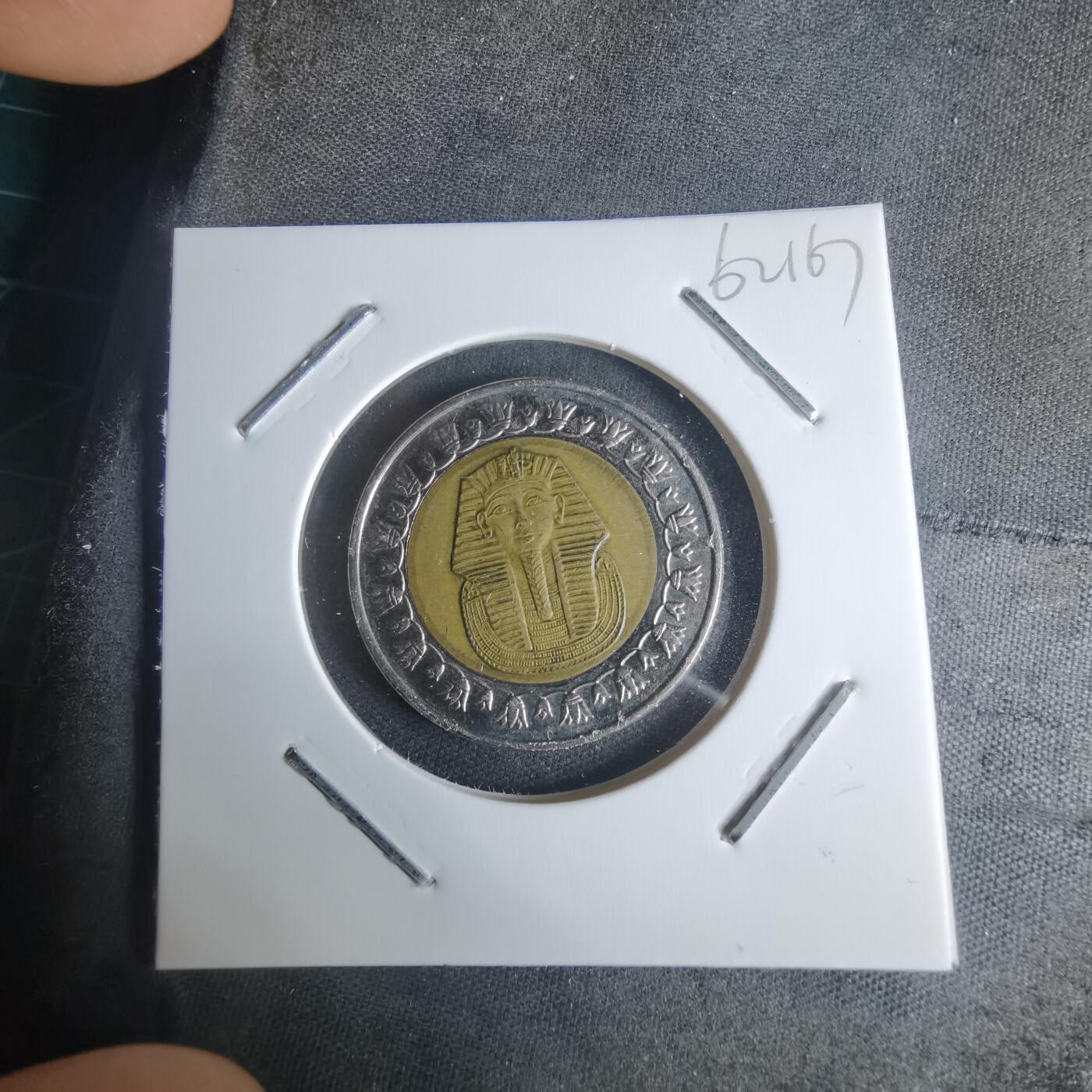 沼泽如烟--第942场