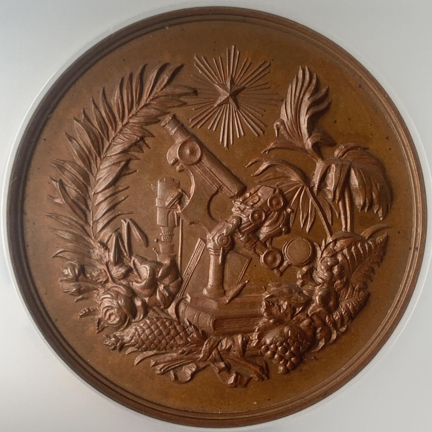 掌中浮雕-藏着的欧洲第047场 NGC MS62 : 1891年比利时安特卫普国际博览会铜章，50mm，盒子边缘有破损如图