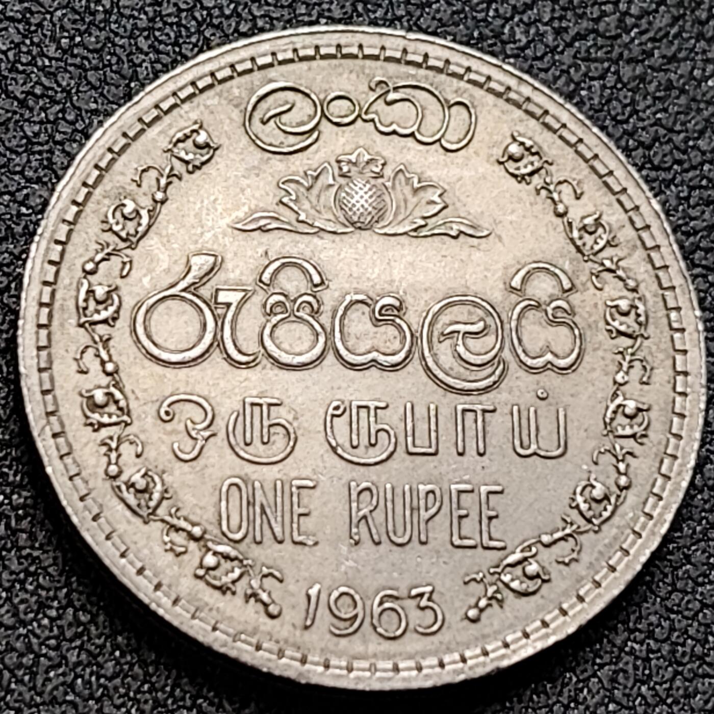 泉币菌-第152场-精品福利场 。