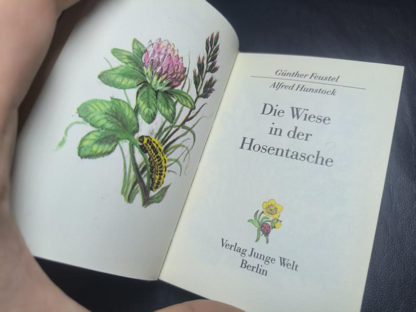 罗岚⭐爱藏⭐甄选专拍第二场-分享拍场赚佣（实体店在建中···） 民主德国《口袋里的草地》--青年世界出版社