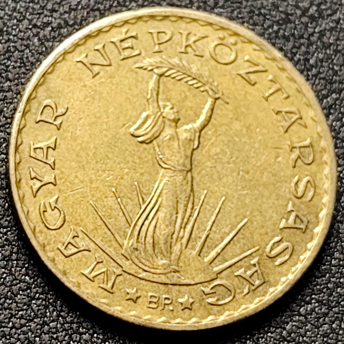 泉币菌-第152场-精品福利场 。