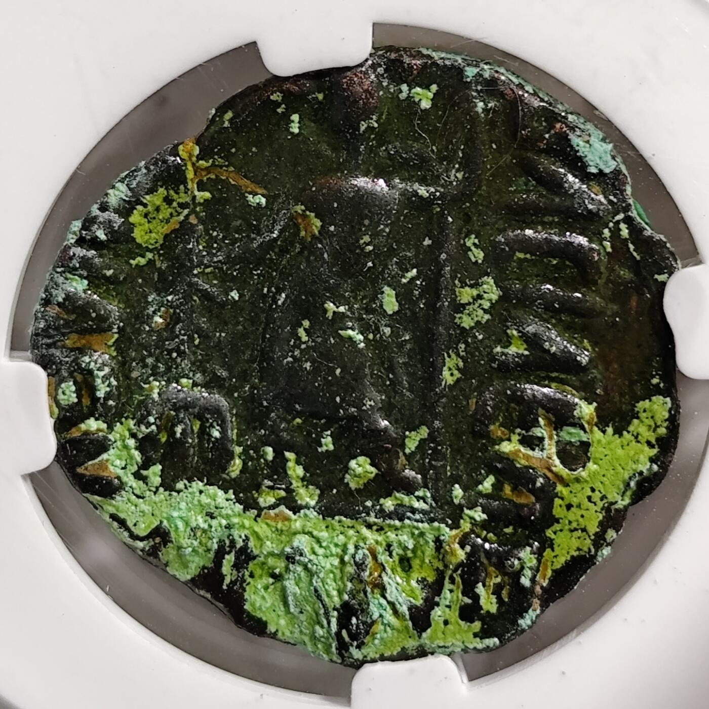 希腊罗马丝路打制币化石【中外钱币放漏】专场！陆小鱼的钱币仓，限时拍卖第080场 大月氏铜币 巴克特利亚地区打制