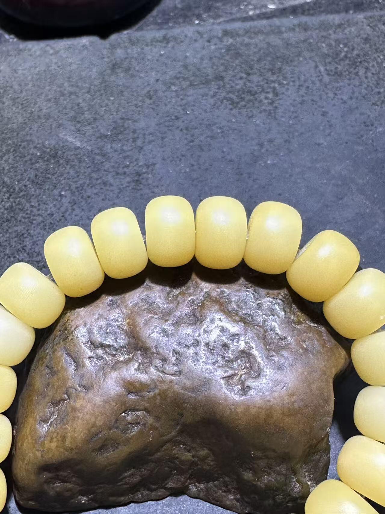 仅此一条，氧化菩提根虎牙天珠单圈手串一条