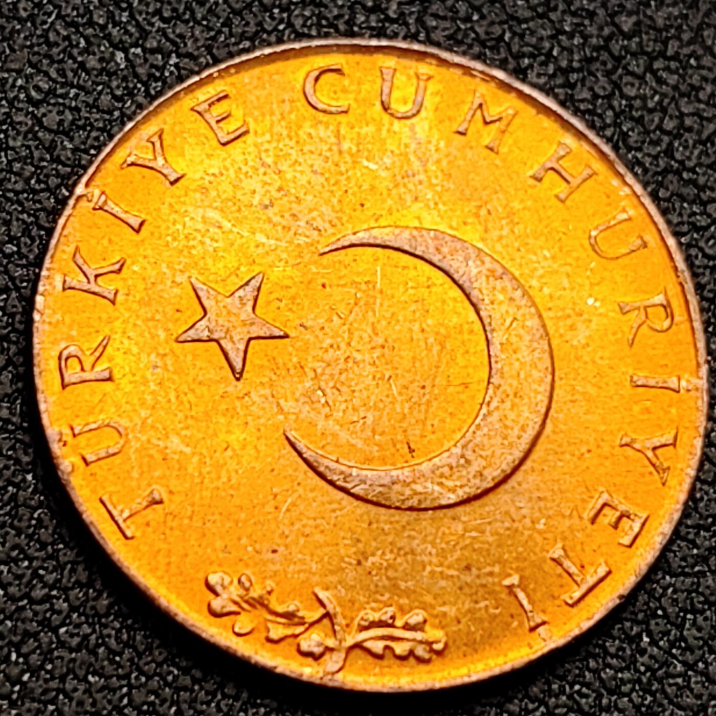 泉币菌-第152场-精品福利场  