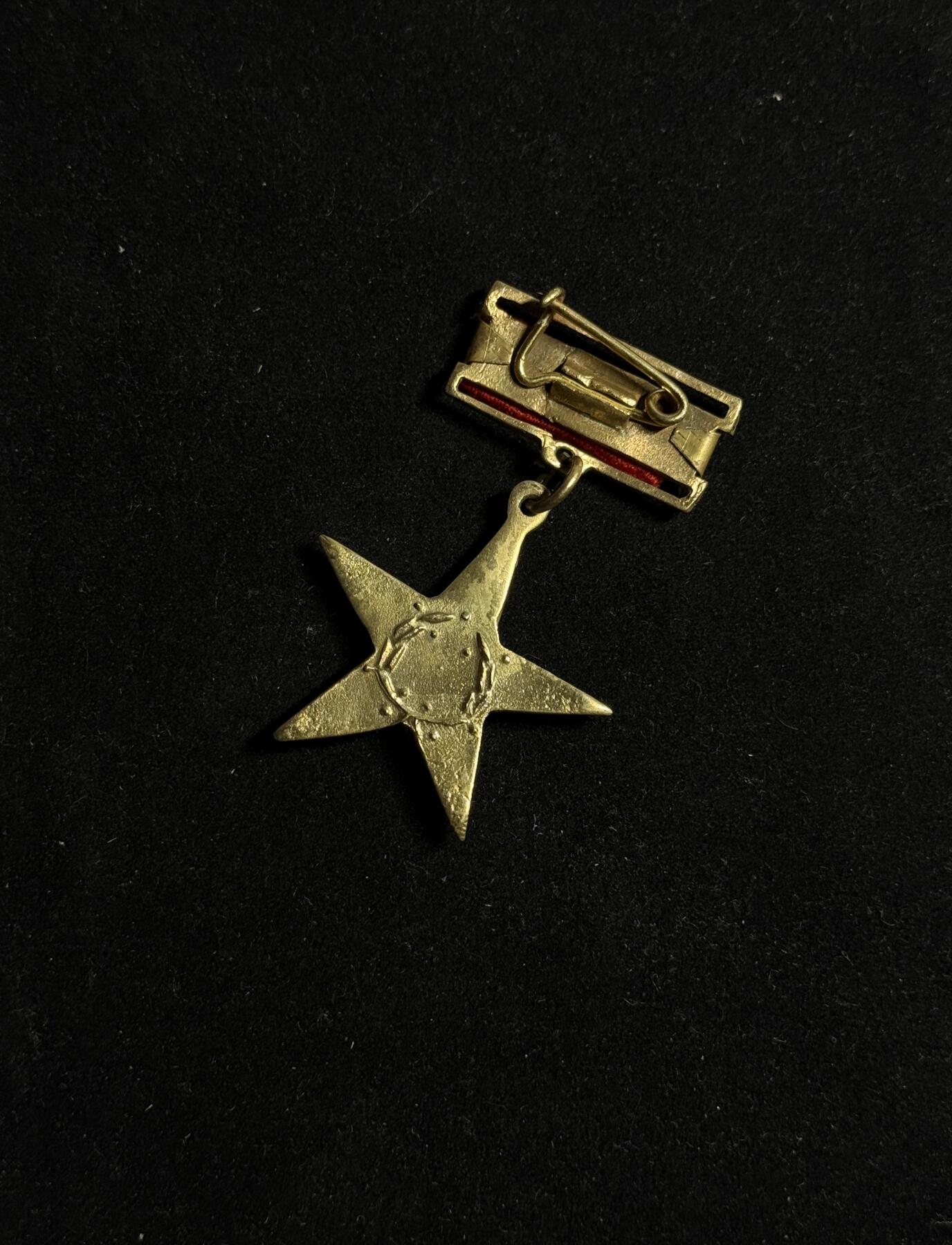 欢庆元旦！戎马世界章牌大赏第109期元旦大拍 越南人民英雄勋章，铜制，T2V1版，工艺比较粗糙