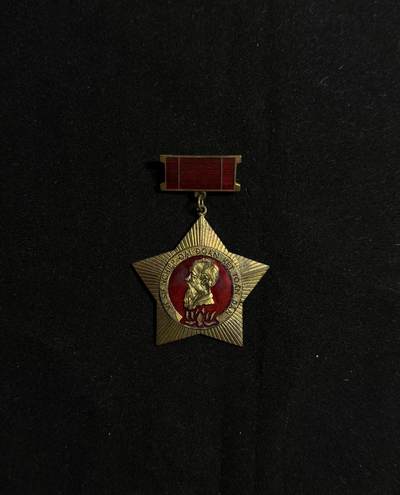 欢庆元旦！戎马世界章牌大赏第109期元旦大拍 - 越南 为民族大团结事业奋斗勋章 早期铜珐琅中国代工版本 授予严格 多授予越盟成员