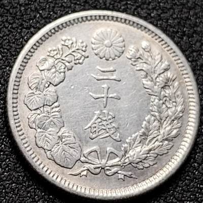 泉币菌-第152场-精品福利场 - 旭日