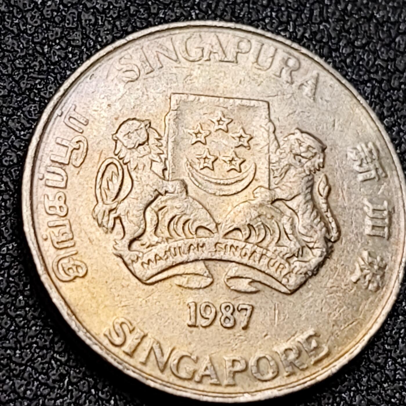 泉币菌-第152场-精品福利场 。