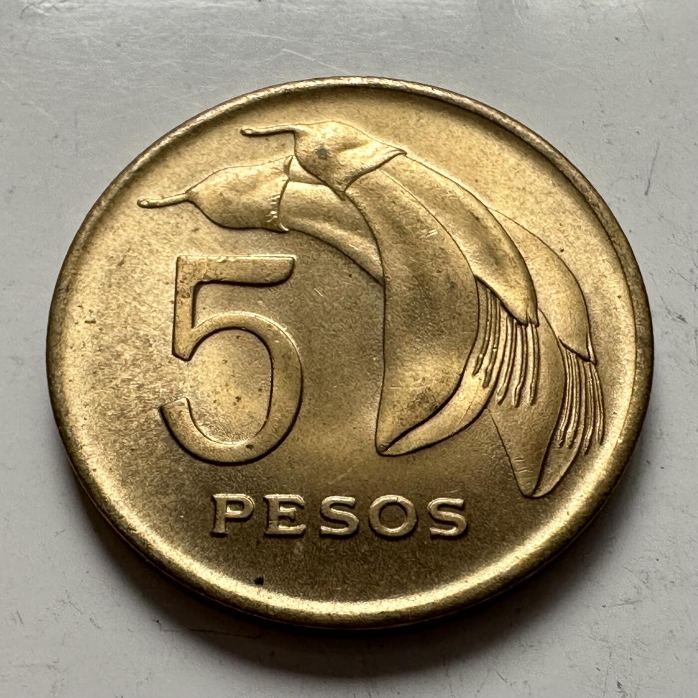 🌹外币初藏🌹🐯2025年第144场  每周二四六晚8️⃣点 接代拍 乌拉圭1968年5比索