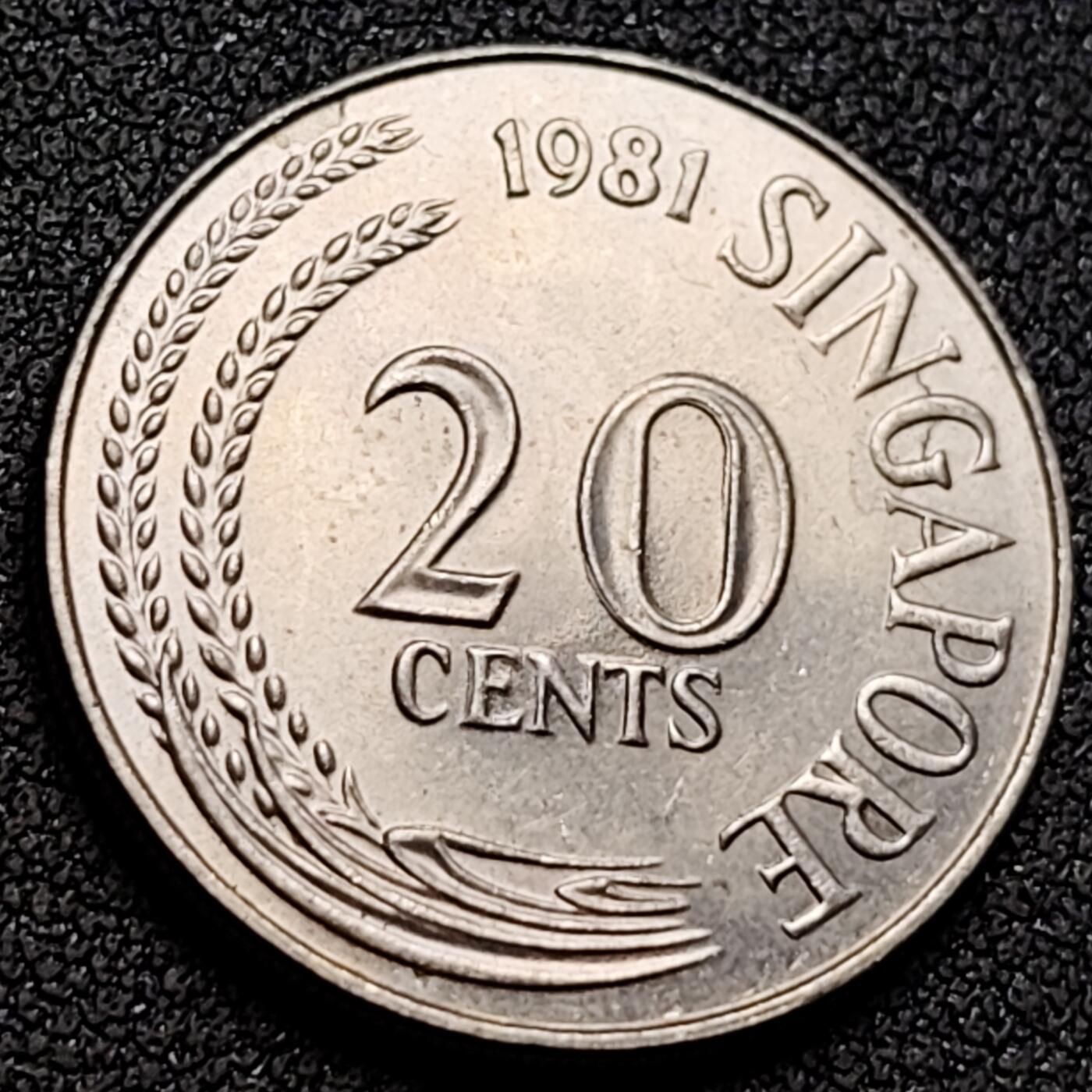 泉币菌-第152场-精品福利场 。