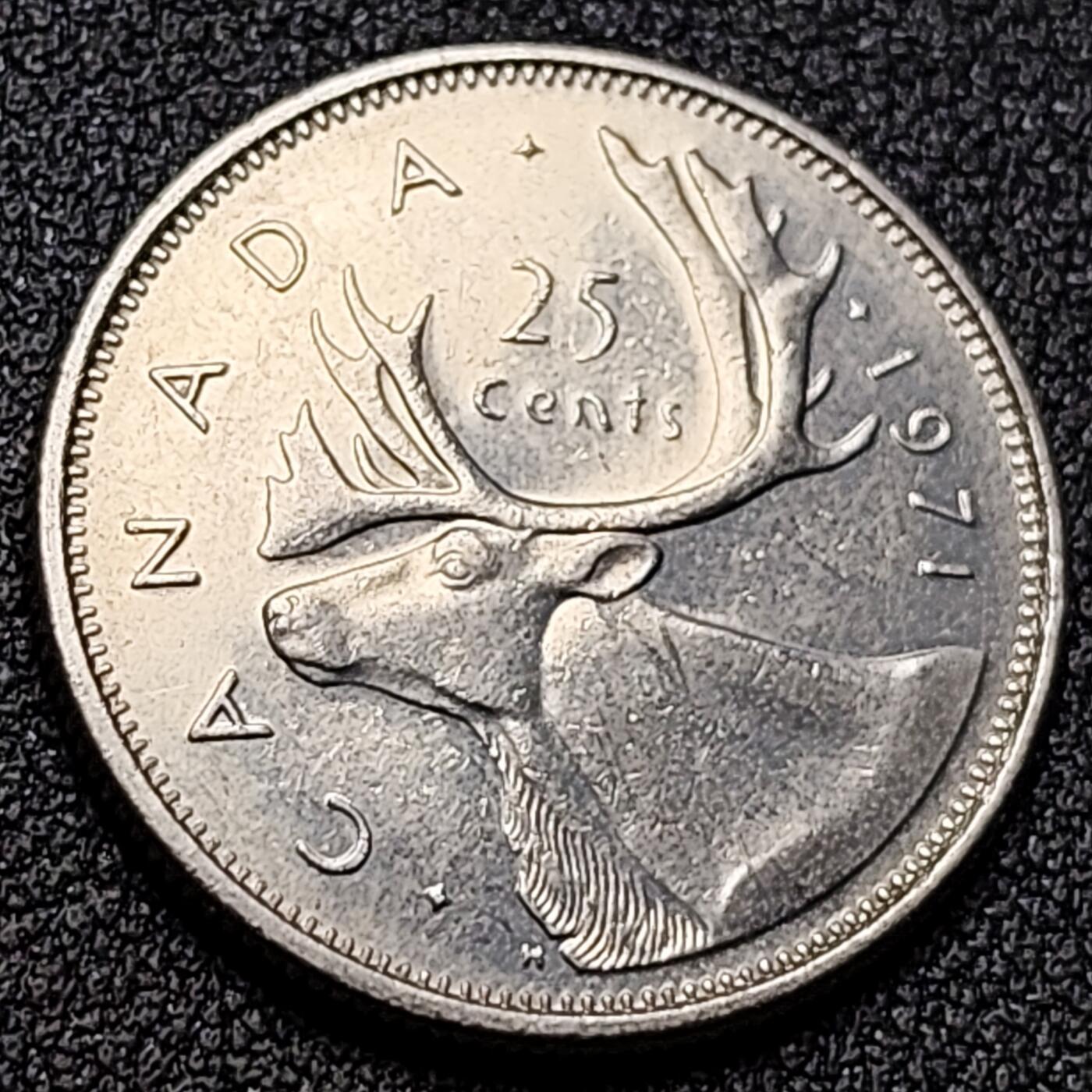 泉币菌-第152场-精品福利场 。