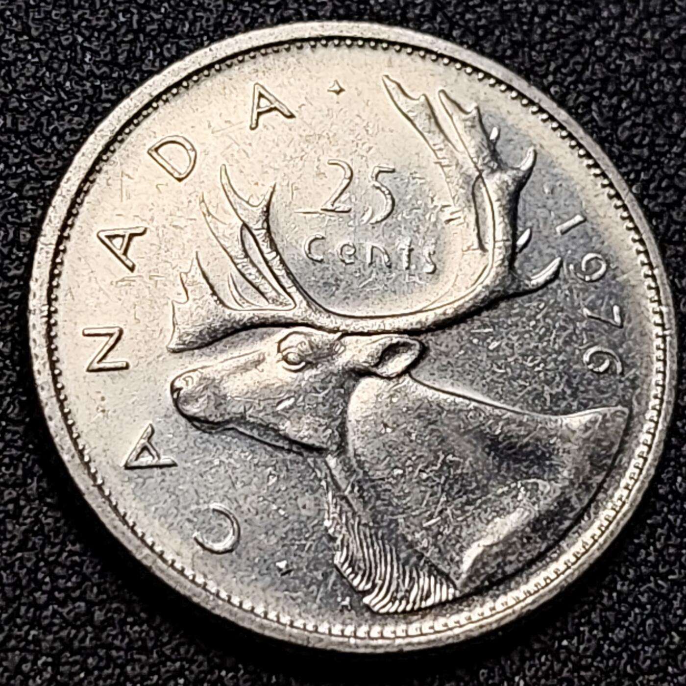 泉币菌-第152场-精品福利场 。