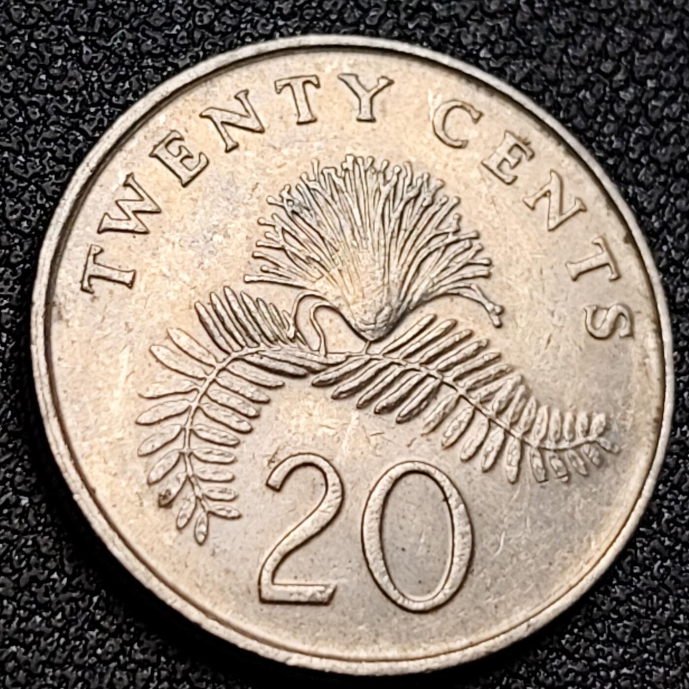 泉币菌-第152场-精品福利场 。