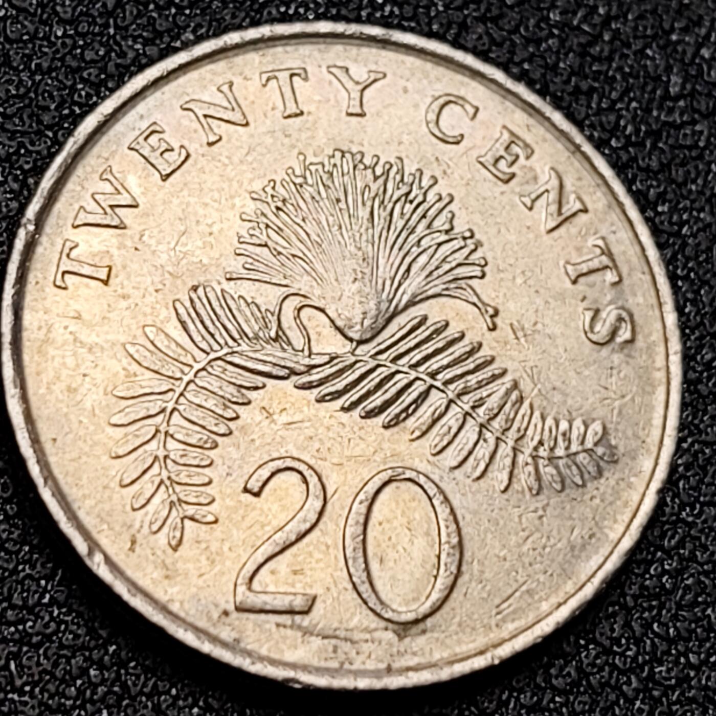 泉币菌-第152场-精品福利场 。