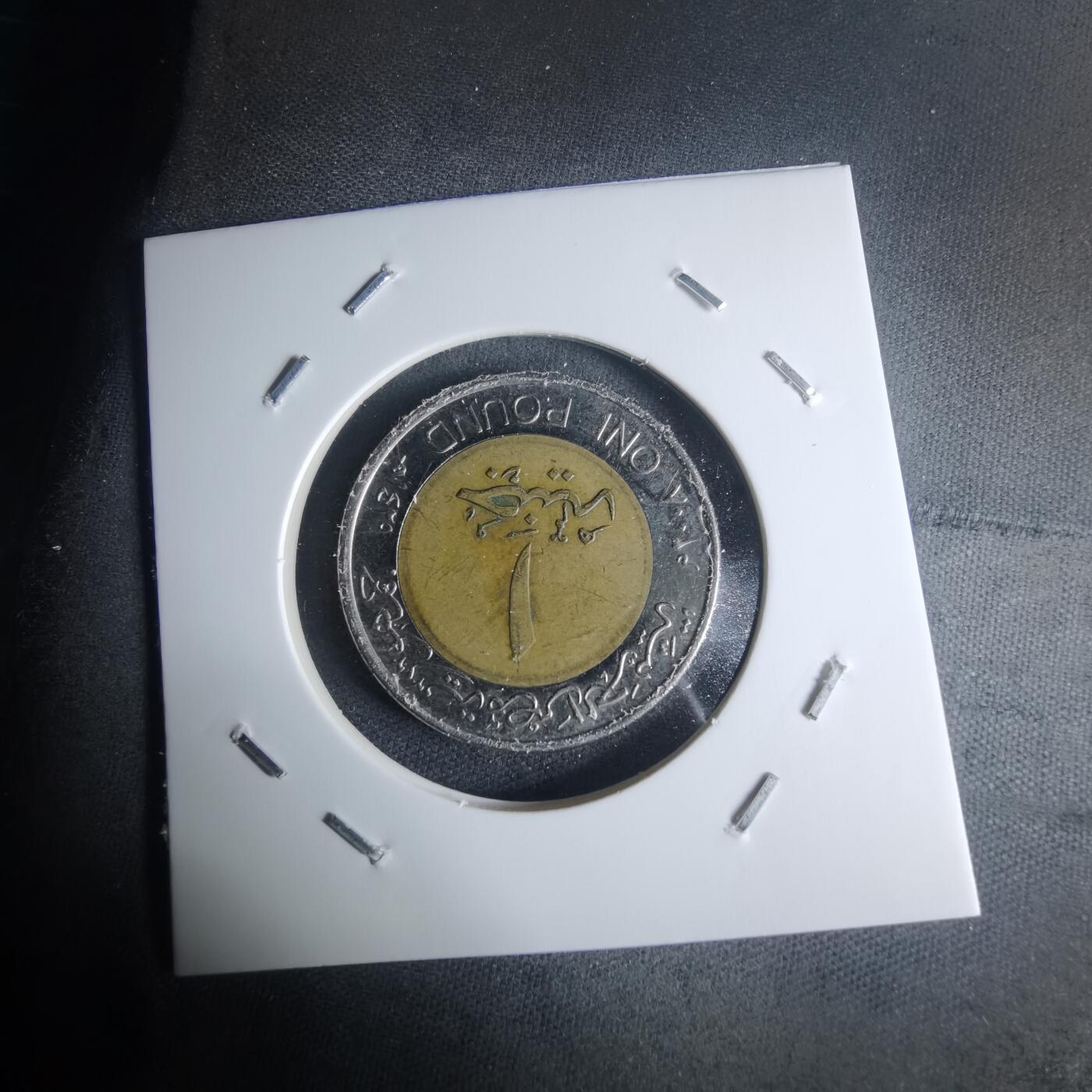 沼泽如烟--第942场