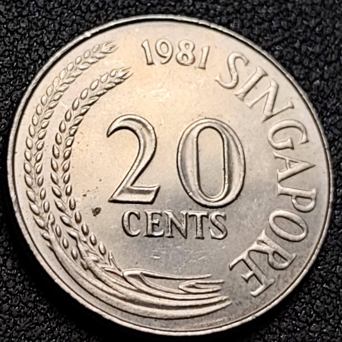 泉币菌-第152场-精品福利场 。