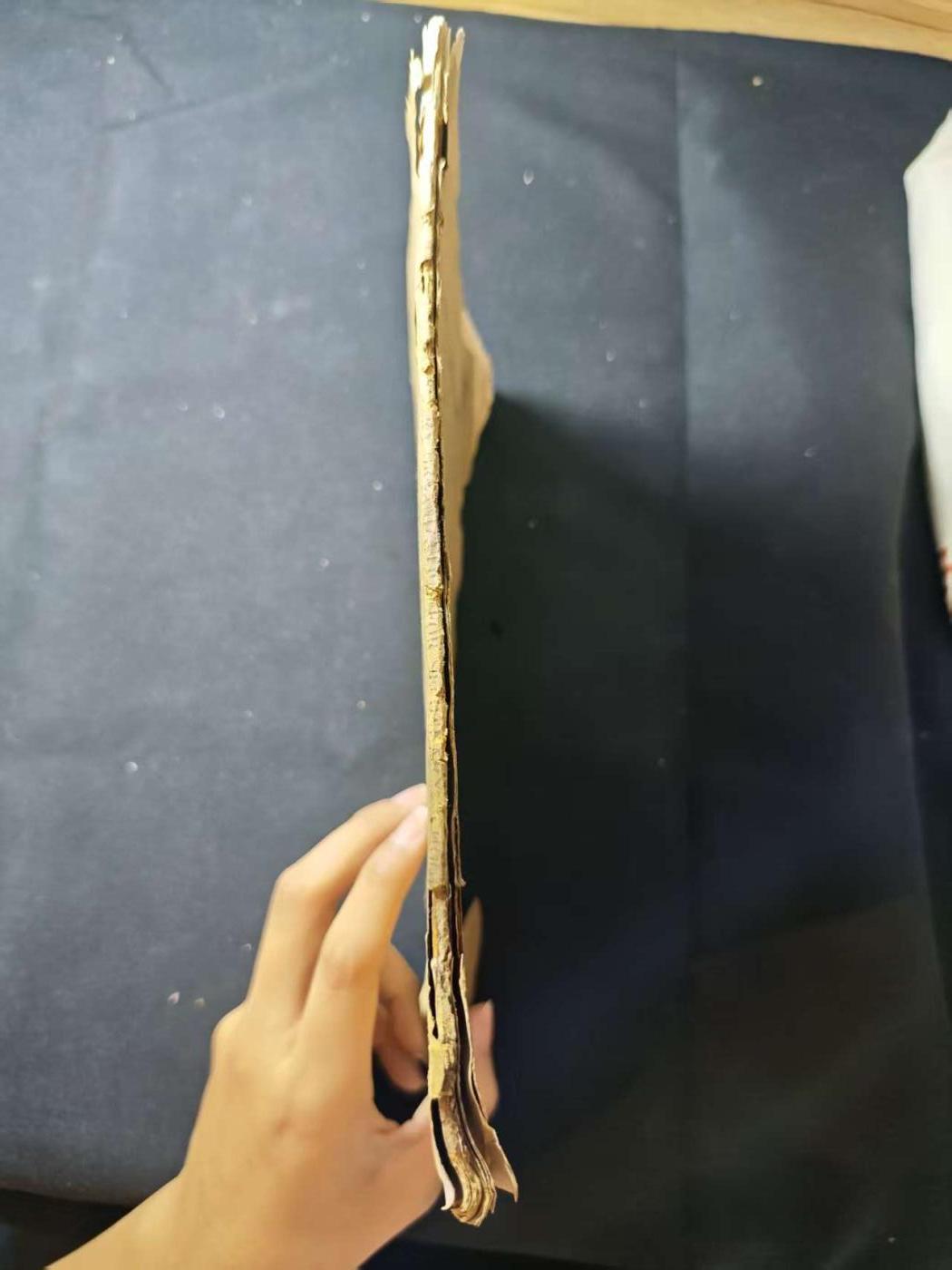 罗岚⭐爱藏⭐甄选专拍第二场-分享拍场赚佣（实体店在建中···） 纽约州立图书馆（隶属纽约州立大学）1920出版公报一份