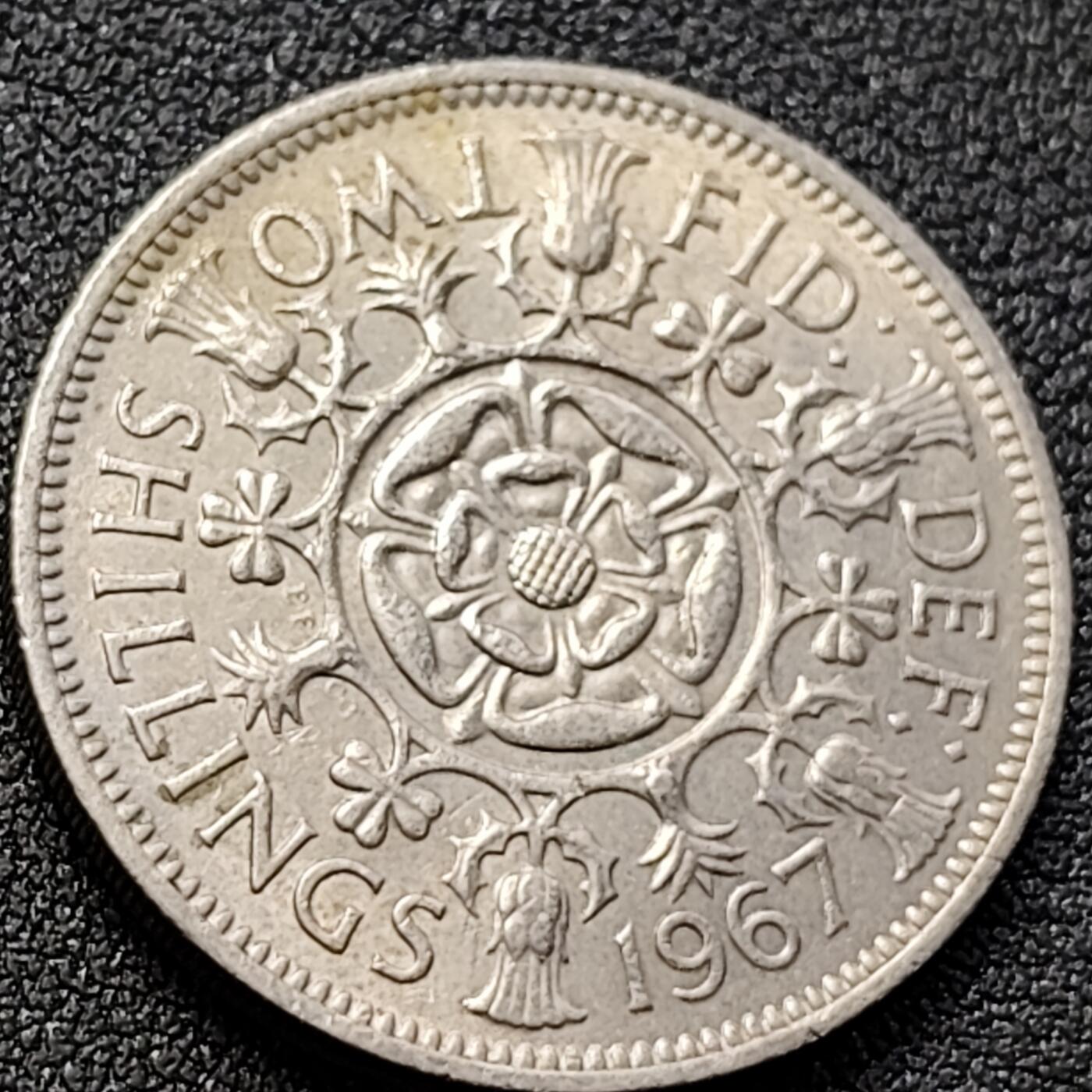 泉币菌-第152场-精品福利场 。