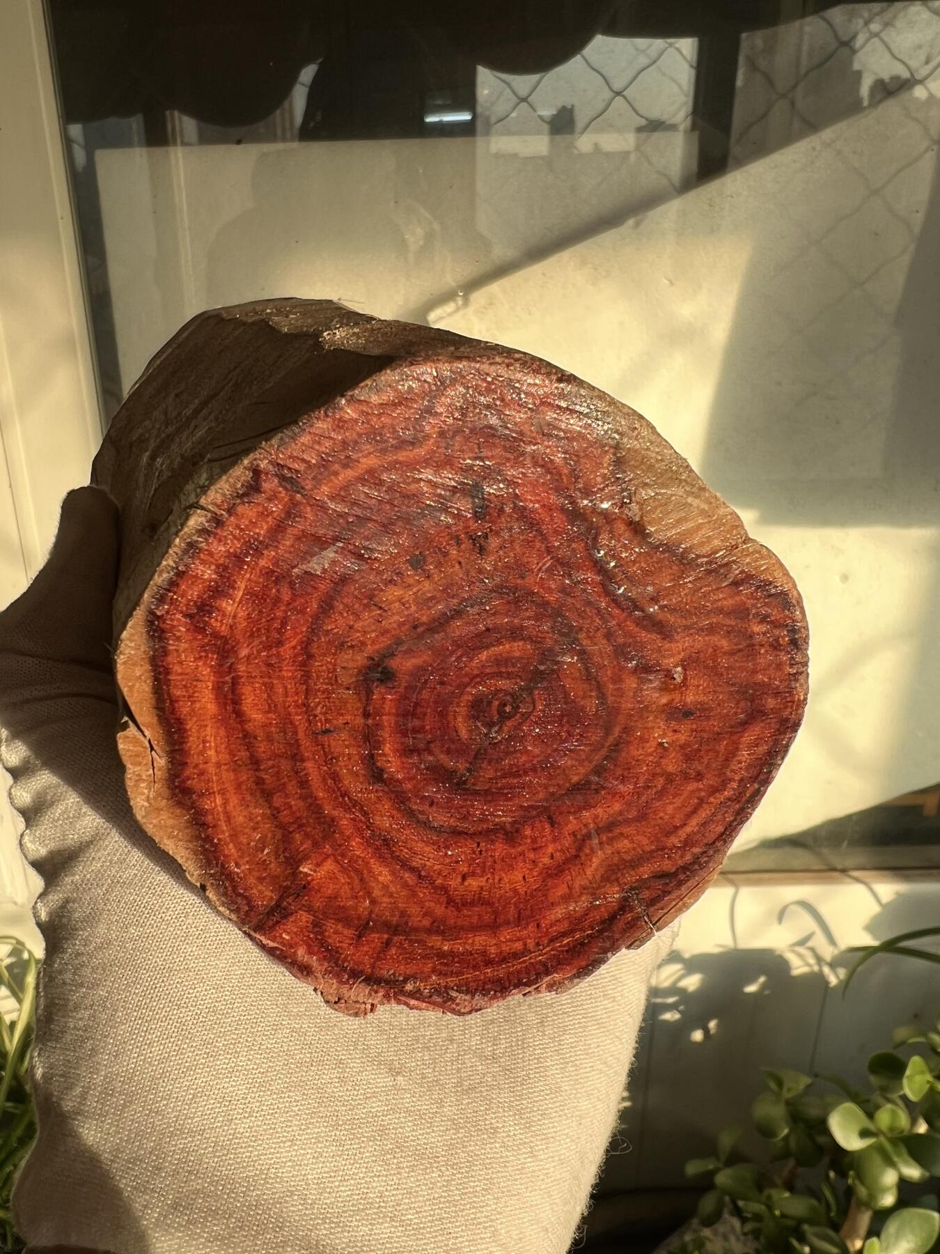 零元拍：  海南黄花梨原料。130/90/80MM