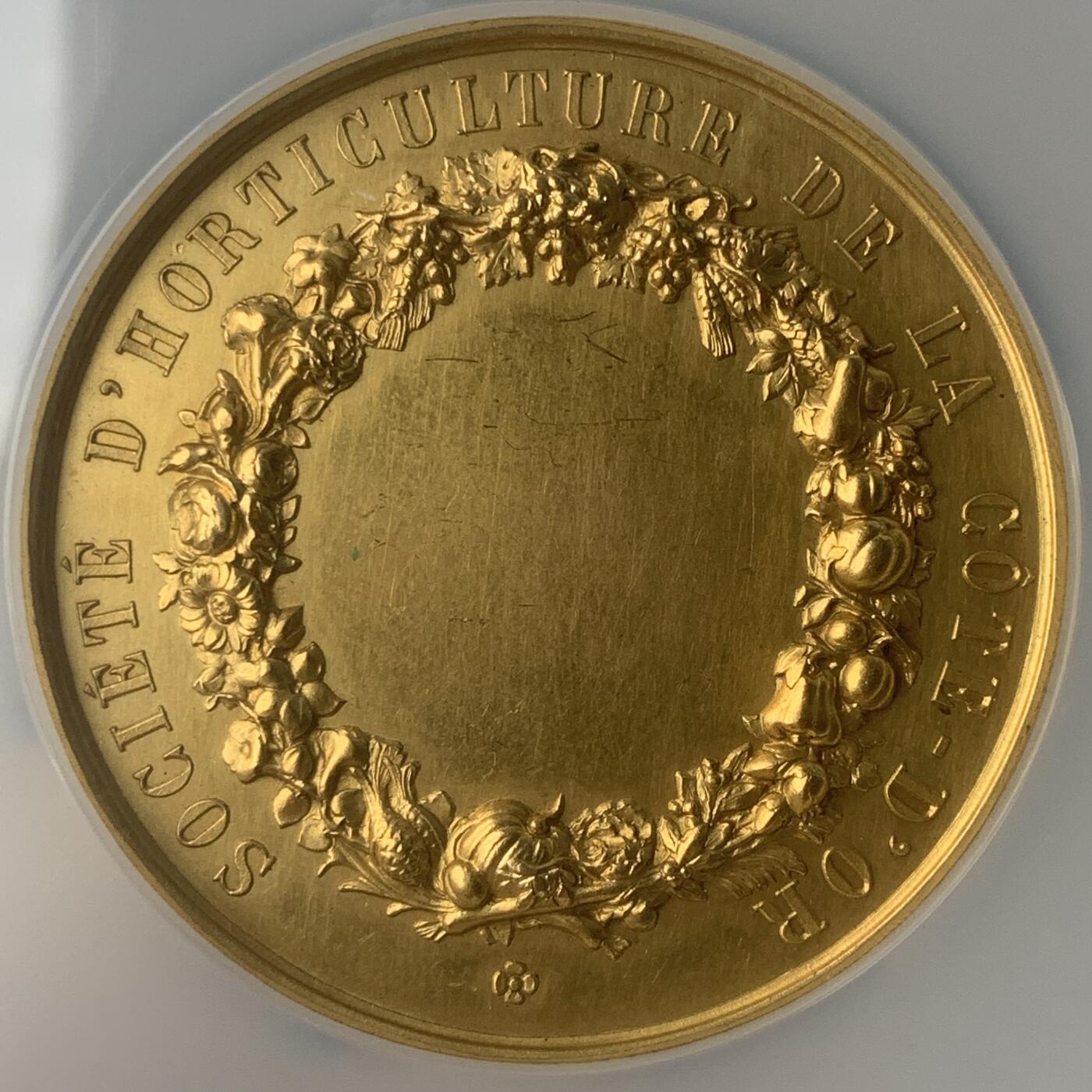 掌中浮雕-藏着的欧洲第047场 NGC MS62 :  法国科多尔园艺协会镀金铜章，51mm