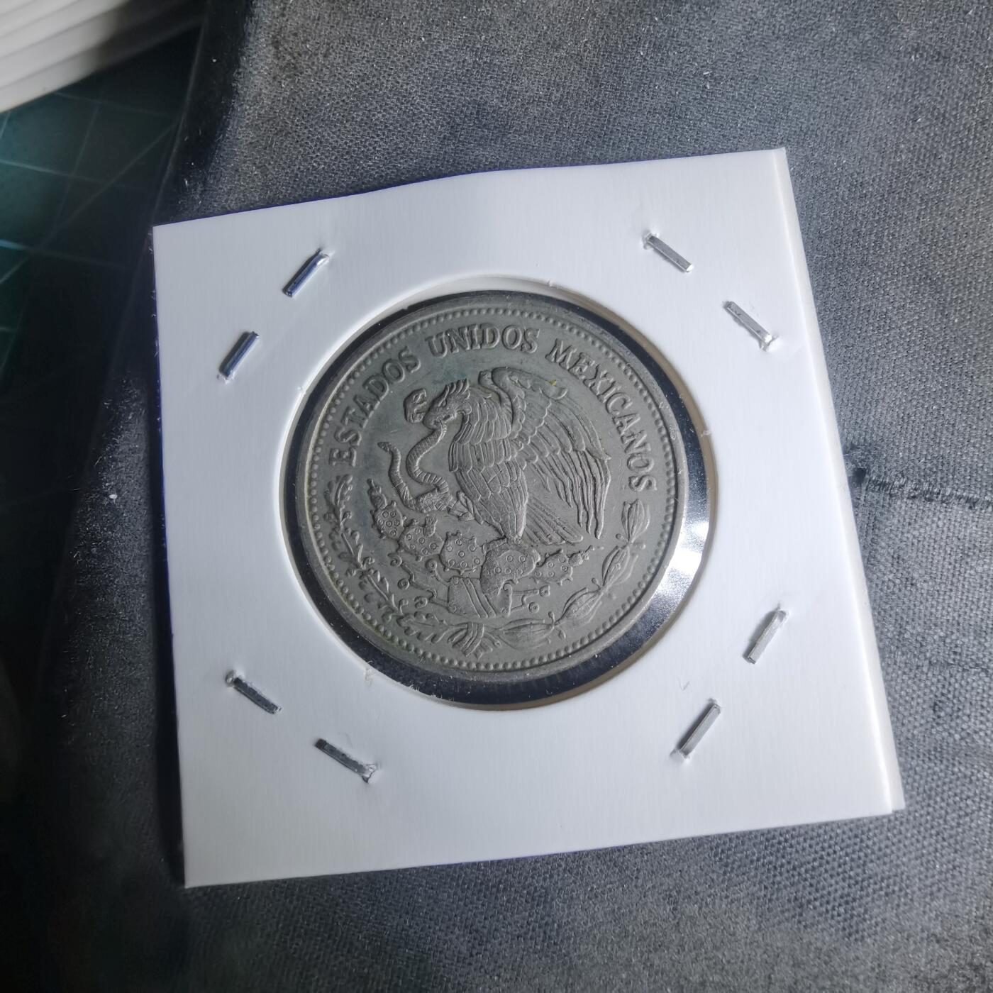 沼泽如烟--第942场