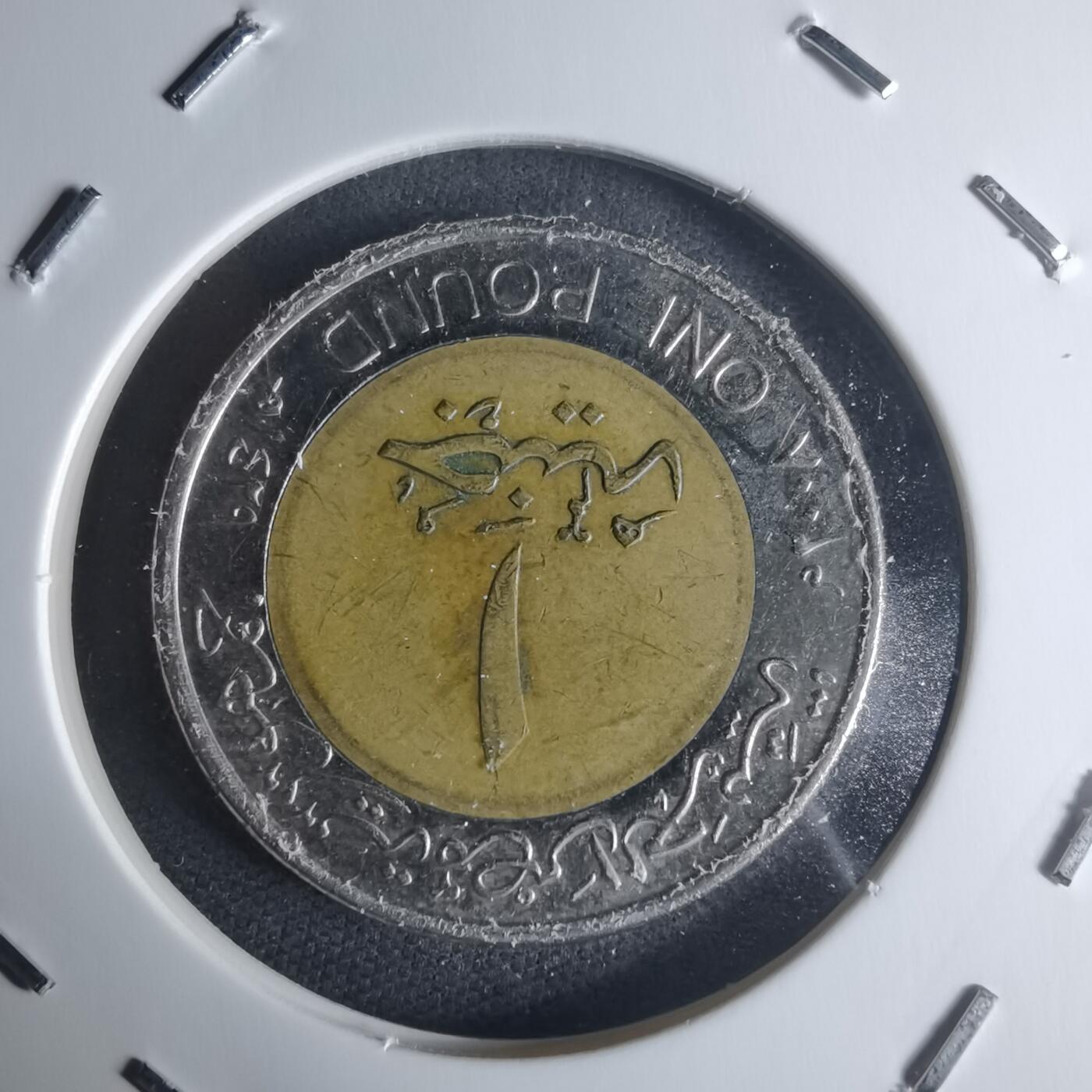 沼泽如烟--第942场