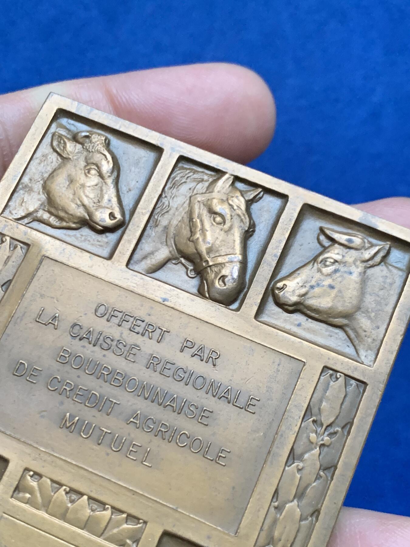 《竞宝斋》第450场 周日，周一，周二  3场连拍 （全场包邮，欢迎送拍） 名家莫隆作品 法国农业部纪念铜章 139.7克 56*64.8mm 1966 丰饶角铜标