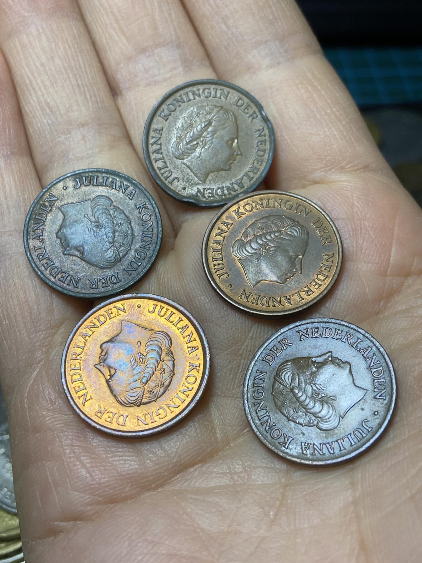 2025年第一百四十五场(总第一百七十一场）高品质英国一线回流散币年末特拍场第二场(免佣金) 荷兰🇳🇱5分5枚：1956年76年79年(鱼标、鸡标两个版)